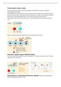 FIRST CLASS Lecture notes Cell And Molecular Biology 