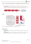 UD 1. Conceptos básicos y organización de datos