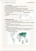 IFSI S3 UE 2.5 La tuberculose