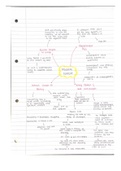 Macbeth essay plans.- GCSE English Literature Edexcel