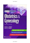 Blueprints Obstetrics and Gynecology 7th Edition Callahan Test Bank