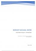 Beroep Sociaal werk - beknopt boek