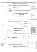 Schema's algemene heelkunde 