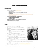 Other forms of civil society protests in the USA notes (IEB, HISTORY)