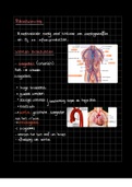 Bloedsomloop hart samenvatting