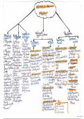 The Prolactin Hormone Physiology Summary