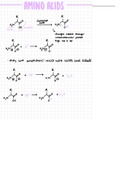 Properties of amino acids