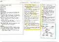 Organic synthesis 