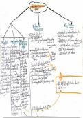 The Growth Hormone Physiology Summary, Yale medical school