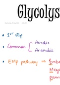 Respiration and Energy transfer 