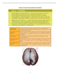 Biopsychology: Split Brain Research into hemispheric lateralization 