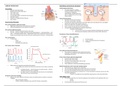 Guyton Physiology Cardiovascular System Chapters Summaries