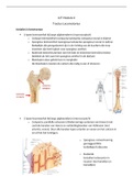 Samenvatting tractus locomotorius