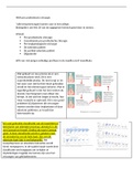 MKA preprothetische chirurgie