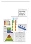 Cross Cultural Marketing, Summary / Cheatsheet all exam relevant material, VU, International Business Administration, Year 1