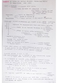 Esquema CRISIS DEL ANTIGUO RÉGIMEN - Siglo XIX (1)