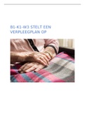 Examen B1-K1-W3 Stelt een verpleegplan op (Cijfer: 10!)