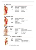 uitwerking BOKS module gezondheid