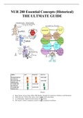 NUR 280 Essential Concepts (Historical) THE ULTMATE GUIDE