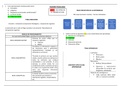 Examen resuelto de la asignatura de psicología