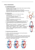 Bvj MAX Samenvatting Thema 2 Transport VWO 6 alle basisstoffen