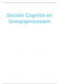 samenvatting  sociale cognitie en groepsprocessen 