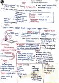 Class 11th botany biological classification 