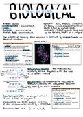 Biological Molecules