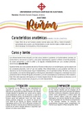 Resumen  Anatomia DEL RIÑON