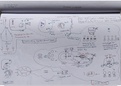 Dr Najeeb Lecture Notes : Immunology - Lymphoid organ