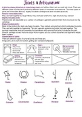 WJEC Joints and Articulations 