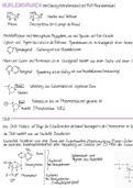 Abizusammenfassung DNA