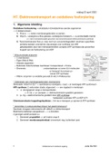 Hoofdstuk 7 Elektronentransport en oxidatieve fosforylering