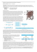 Samenvatting DT2 Essential Cell Biology en hoorcolleges