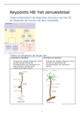 Anatomie keympoints : Hoofdstuk 8 (Het zenuwstelsel)