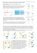 Samenvatting van DT1 van Humane Levenscyclus 1 met Essential Cell Biology