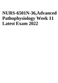 NURS-6501N-Advanced Pathophysiology Week 11 Latest Exam 2022.