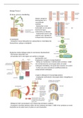 Biologie voor jou MAX Vwo 5 Thema 5 Planten