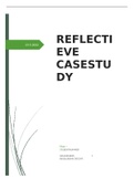 Reflectieve casestudy LP9 KT1