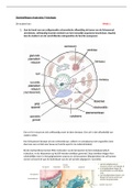 College aantekeningen Anatomie/ fysiologie hogeschool Viaa blok 1 studiejaar 1 