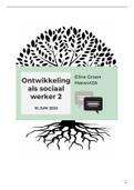 2.4.2 Ontwikkeling als sociaal werker 2 (CIJFER 8,4!!)