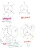 Newman Projections 