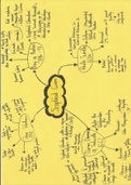 Descriptive Notes for Edexcel A Level History - Unit 33 / Topic 1