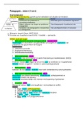 Samenvatting Pedagogiek blok 4: deeltoets 1