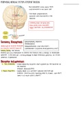 Afferent Division Nervous System Eyes and Ear 