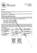 SUMMARY: ANATOMIA Abdomen