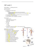 Vorm en Functie volledige stof week 1