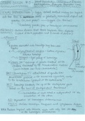 Review of Chromosomal and Nucleic Acid Processing