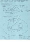 Review of Metabolic Pathways