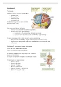 Hersenen en Gedrag - Samenvatting alle colleges + verdiepingscolleges! (UVT 1e jaar)